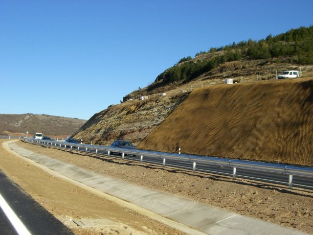 12 hidrosiembras plantaciones